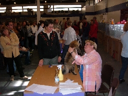 Utstalln M_0.jpg